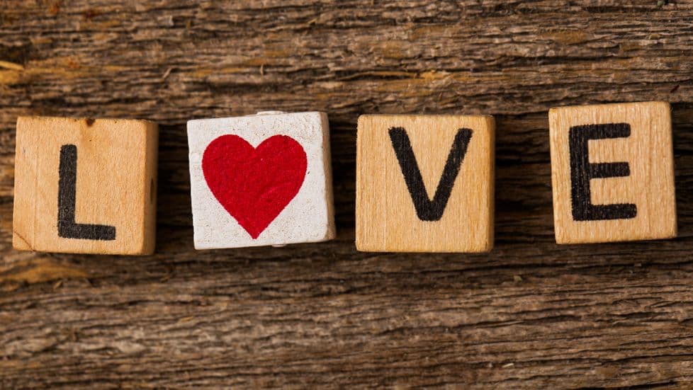 The Legacy of Love: A Journey of Wisdom in the Face of Dementia